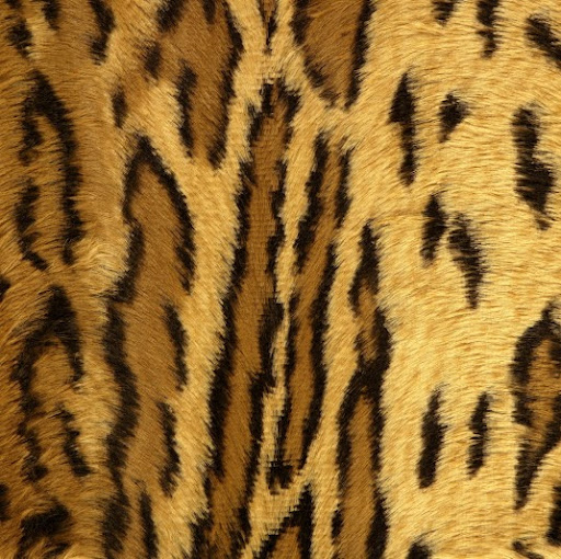 Paula Benson Photo 37