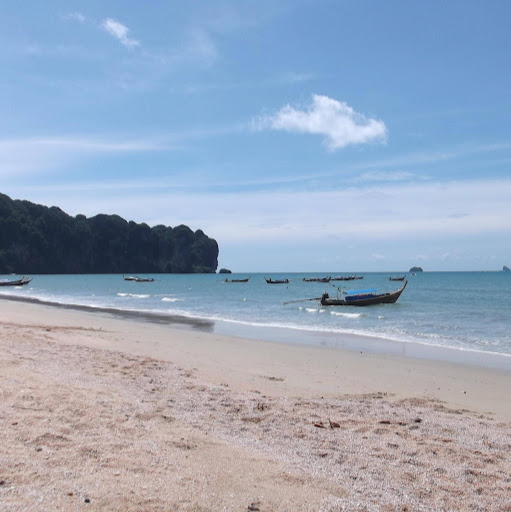 Andrew Lowery Photo 5