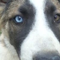 Julie Marlow Photo 32