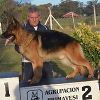 Ricardo Espinosa Photo 36