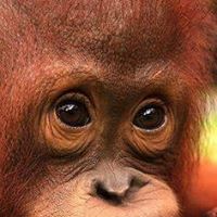 Jennifer Tanner Photo 18