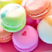 Cynthia Han Photo 14