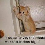 Rebecca Merriman Photo 12