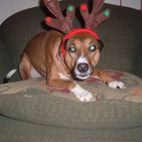 Michelle Brinkman Photo 31