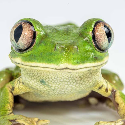 Thomas Ware Photo 27