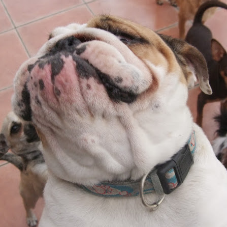 Fred Hawkins Photo 7 Fred Hawkins Photo 7