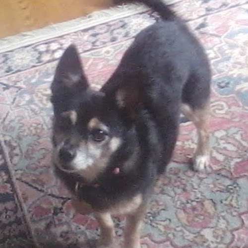 Linda Brewer Photo 13