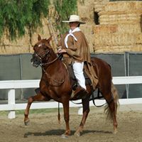Lisa Hogue Photo 23