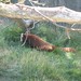 Julie Gifford Photo 12