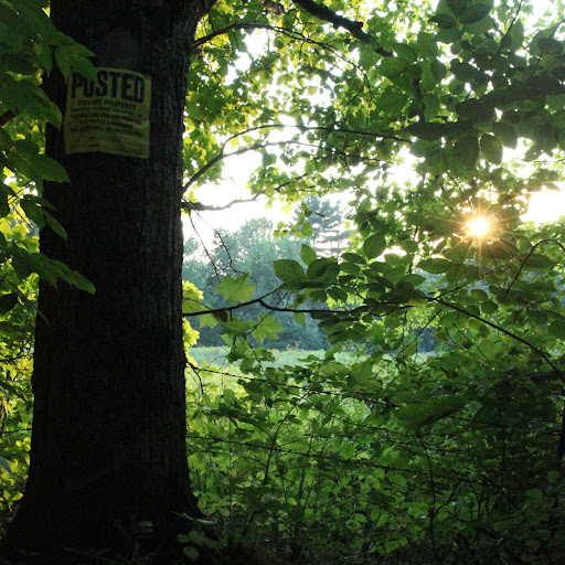 Kimberly Provost Photo 3