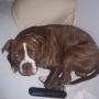 Kenneth Fuqua Photo 18