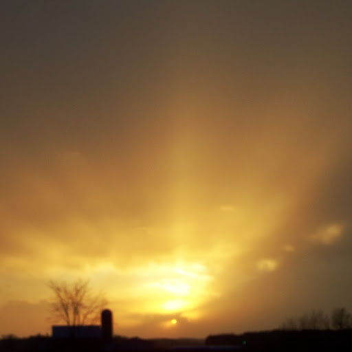 Joann Peters Photo 17