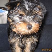 Beverly Mccool Photo 4