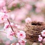 Dawn Taylor Photo 23