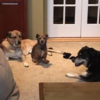 Julie Levine Photo 26