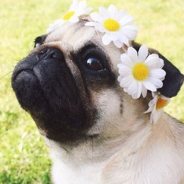 Debbie Bauer Photo 34