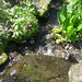 Gerald Lord Photo 11