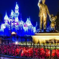 Diana Packard Photo 5