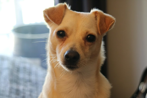 Terry Goodman Photo 18