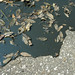 Donald Burks Photo 16