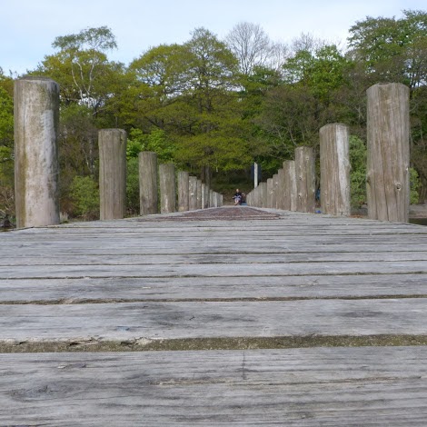 Lucinda Dolan Photo 4