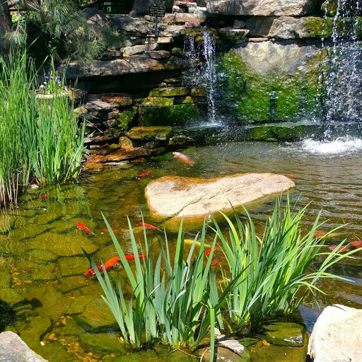 Rhonda King Photo 31