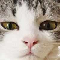 Debbie Frye Photo 13