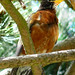 Robin Washington Photo 5