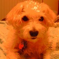 Jerry Blanchard Photo 13
