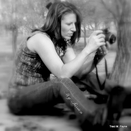 Traci Payne Photo 32