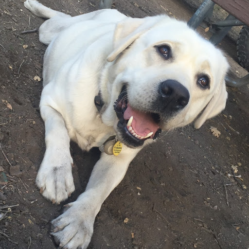 Brian Wright Photo 50