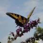 Barbara Bird Photo 7