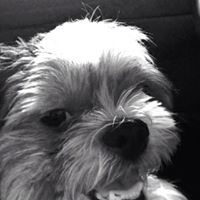 Annette Malloy Photo 2