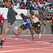Randall Carroll Photo 11