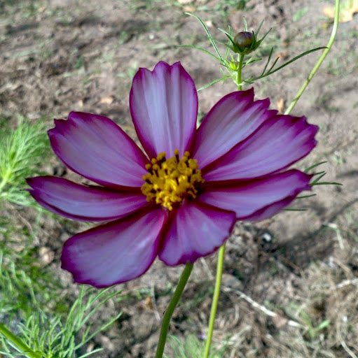 Frank Scott Photo 28 Frank Scott Photo 28