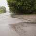 Roy Pickering Photo 12