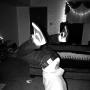 Stephen Morris Photo 46