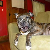 Jason Handley Photo 27