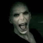 Tommy Riddle Photo 15