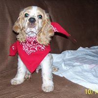 Carol Hixson Photo 7