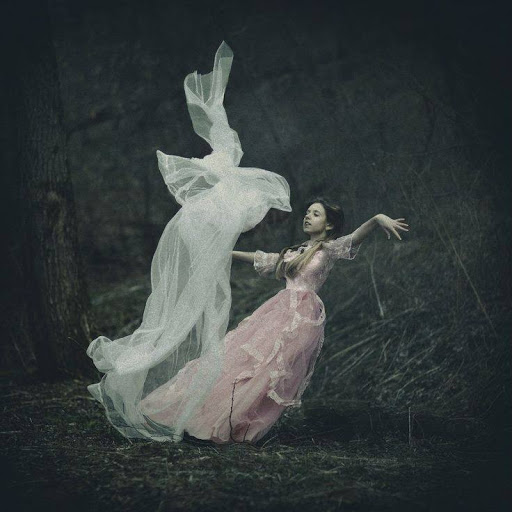 Vanessa Cole Photo 18