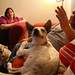 Darla Courtney Photo 4