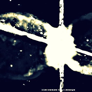 Sherry Summers Photo 6