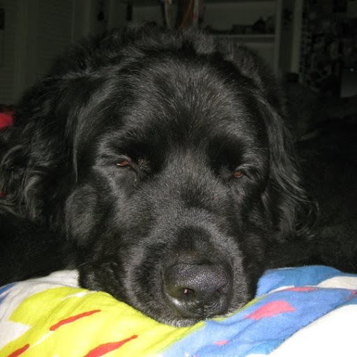 Tara Simmons Photo 37