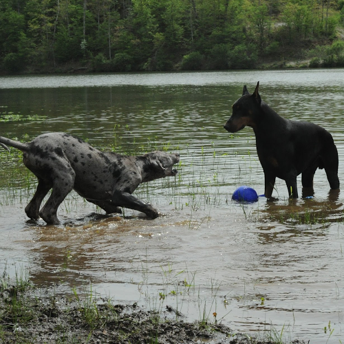 Kelly Brawner Photo 2