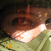 Janice Fox Photo 46