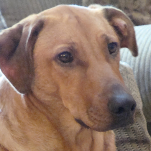 Aaron Craig Photo 25