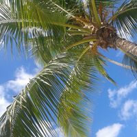 Christine Do Photo 18