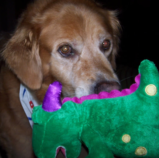 Colleen Edwards Photo 44