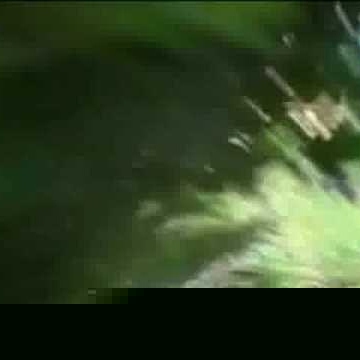 Kent Walker Photo 17